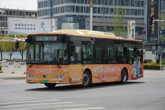 800BUS