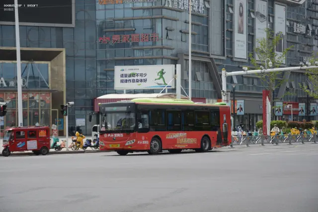 800BUS