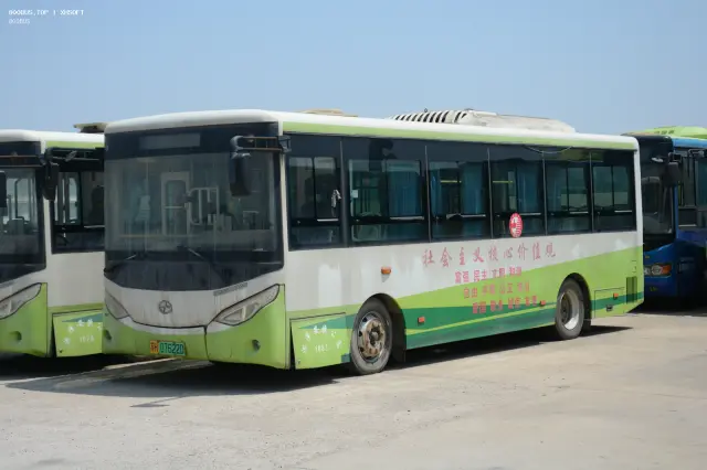 800BUS