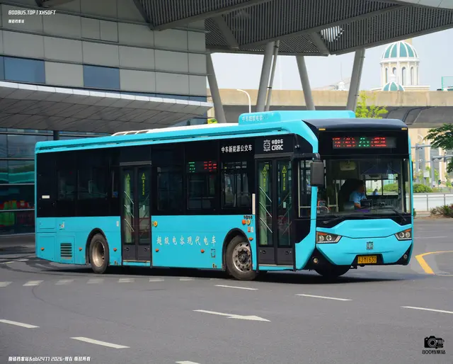 800BUS