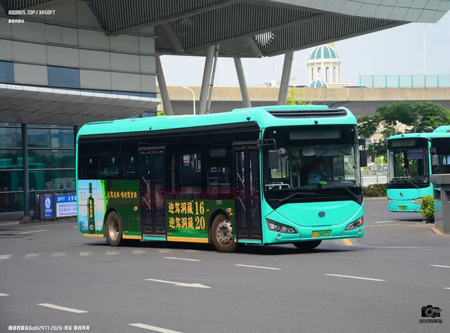 800BUS