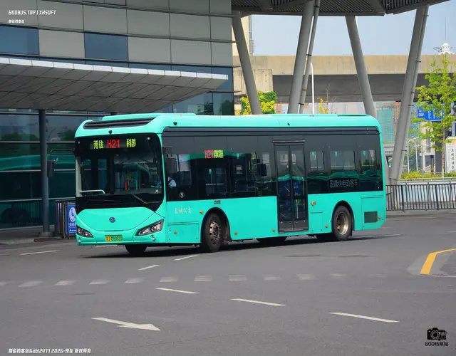 800BUS
