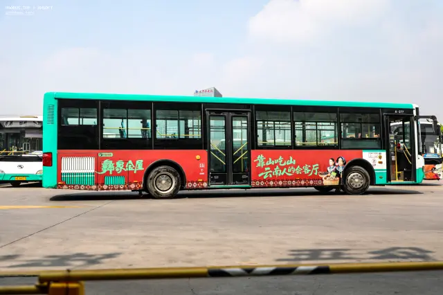 800BUS
