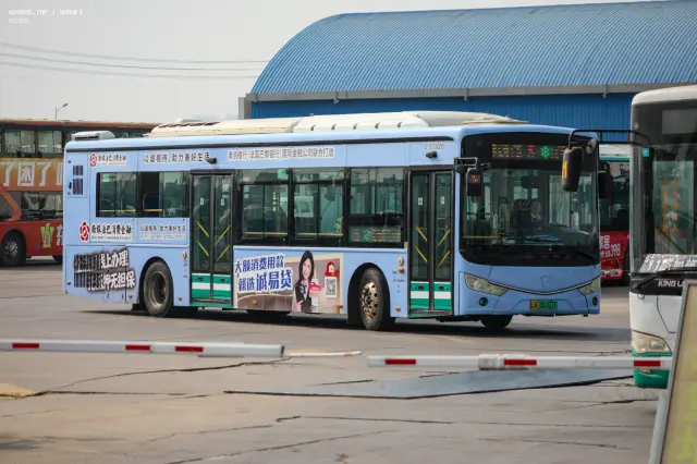 800BUS