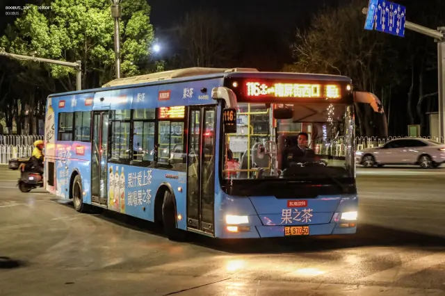 800BUS