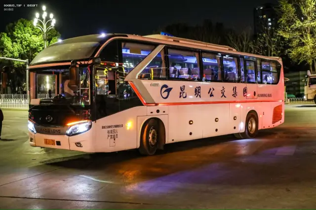 800BUS