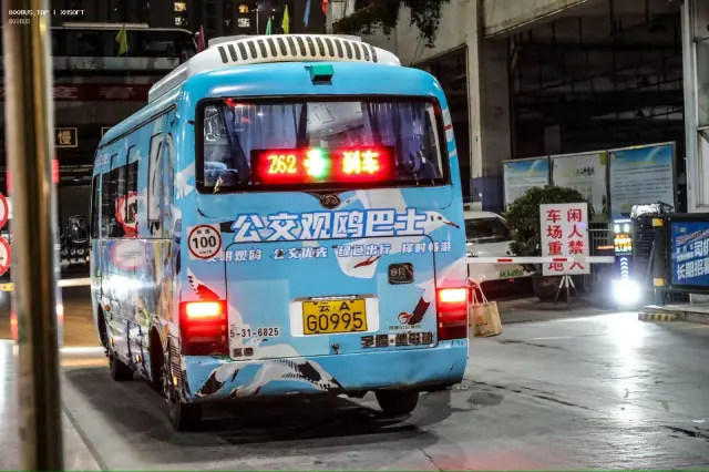 800BUS