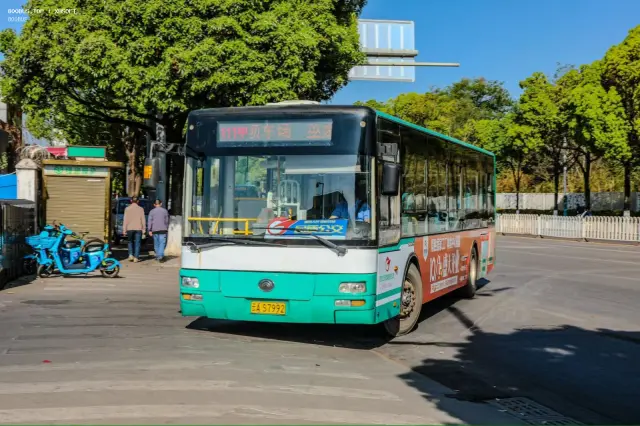 800BUS