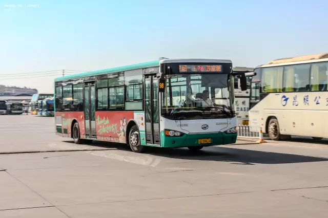 800BUS