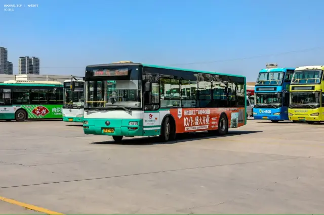 800BUS