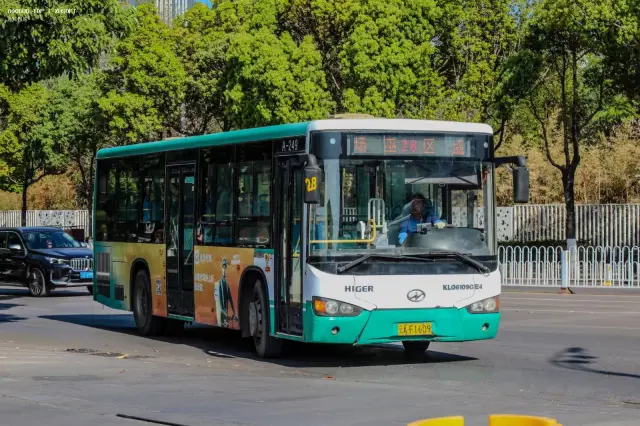 800BUS