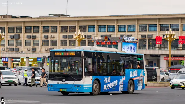 800BUS