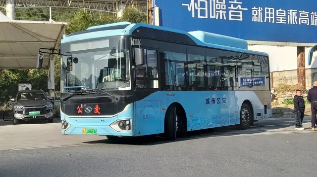 800BUS