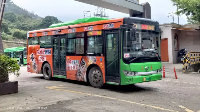 800BUS