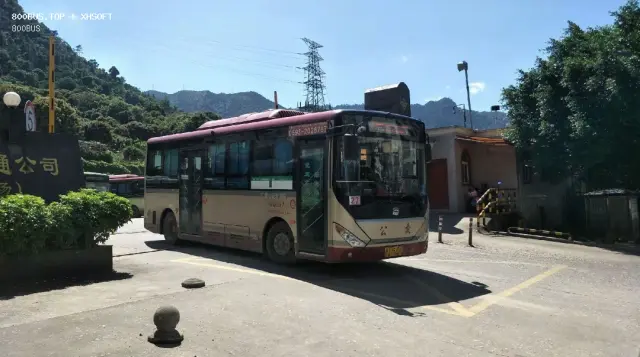 800BUS