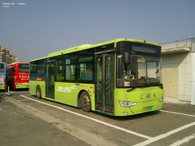 800BUS