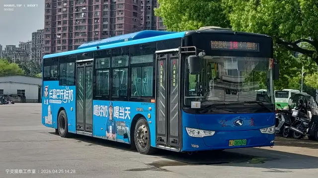 800BUS