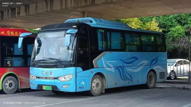 800BUS