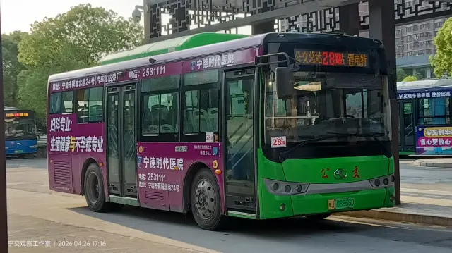 800BUS