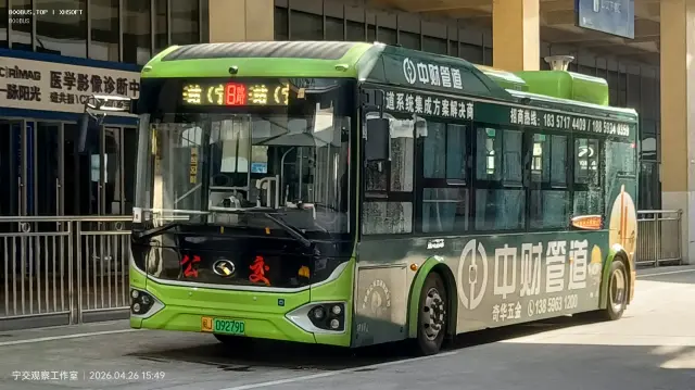 800BUS