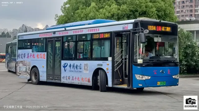 800BUS