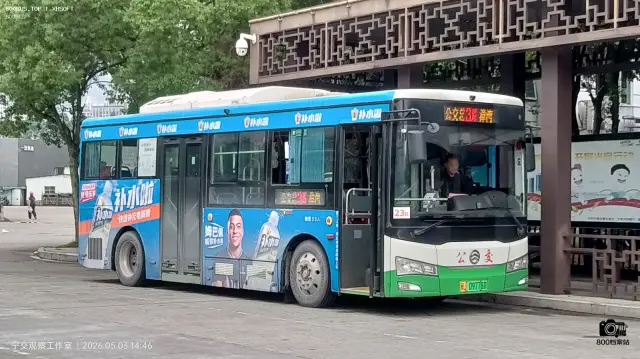 800BUS