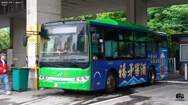 800BUS
