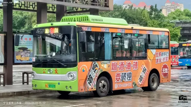 800BUS