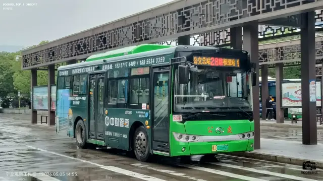 800BUS