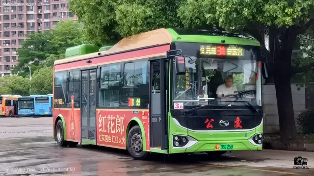 800BUS