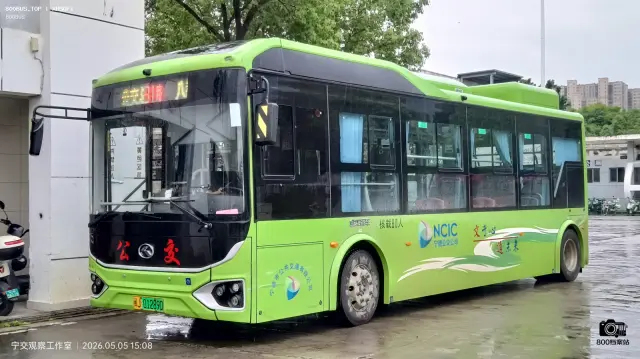 800BUS