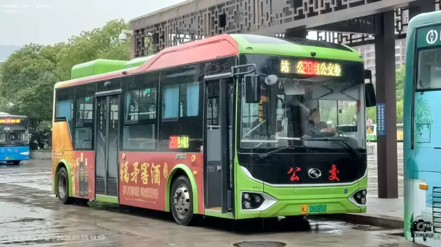 800BUS