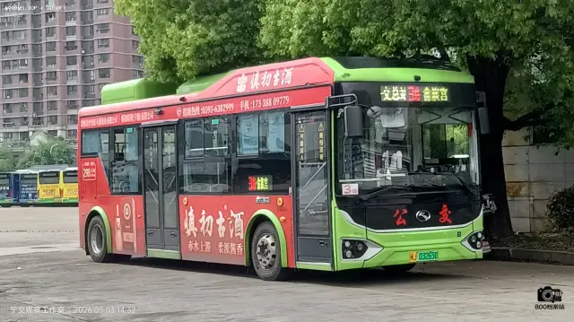 800BUS