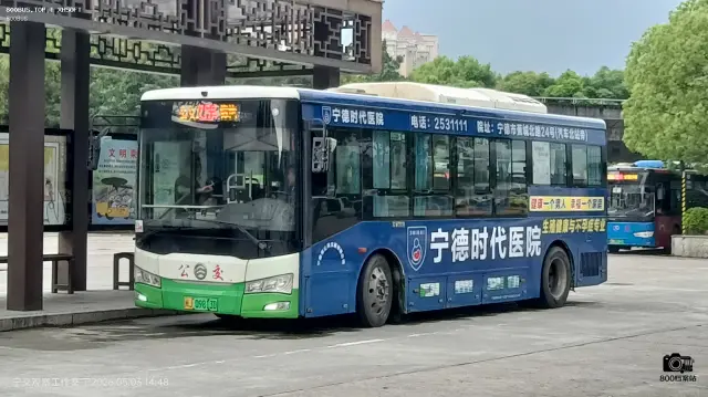 800BUS