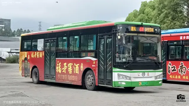 800BUS