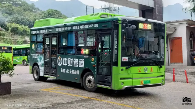 800BUS