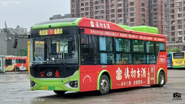 800BUS