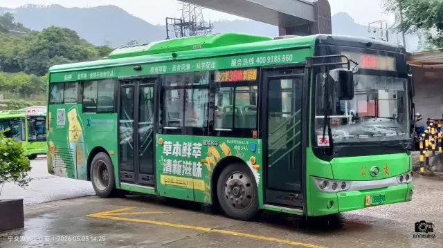 800BUS