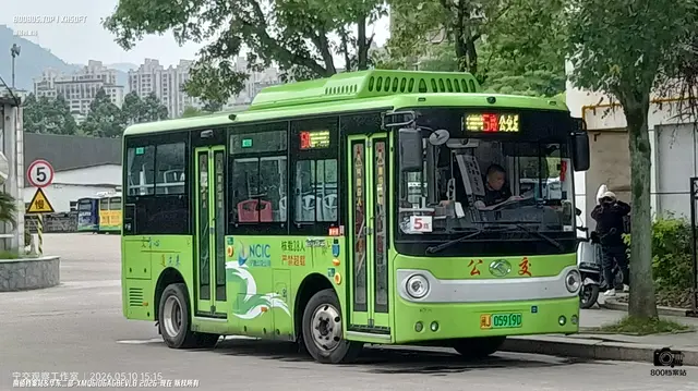 800BUS