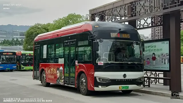 800BUS
