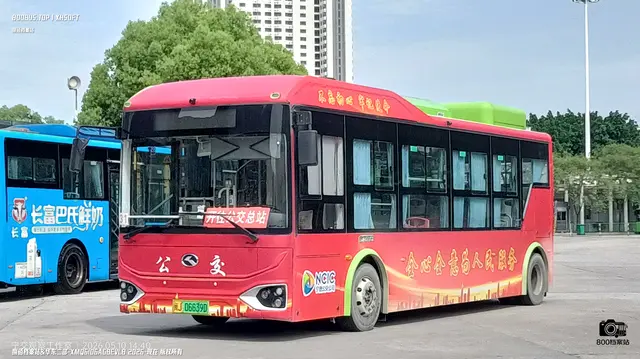 800BUS