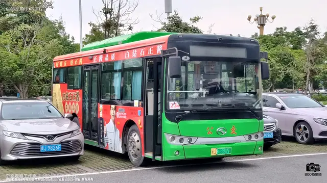 800BUS