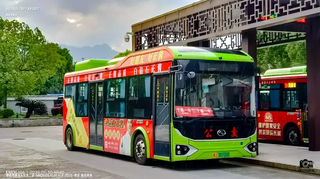 800BUS