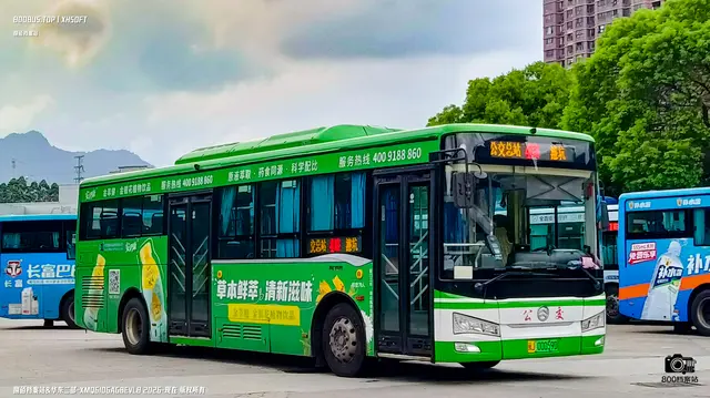 800BUS