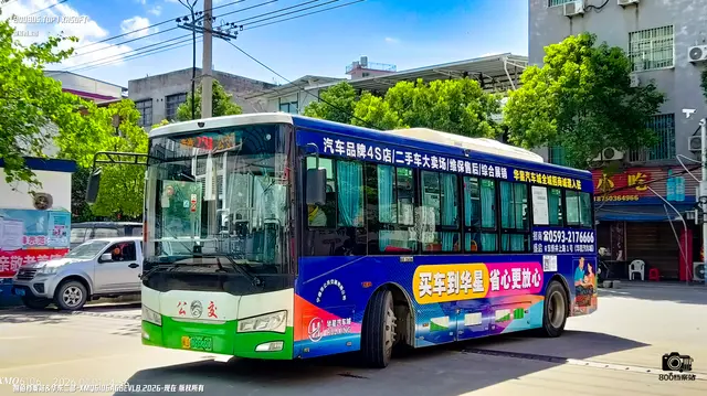 800BUS