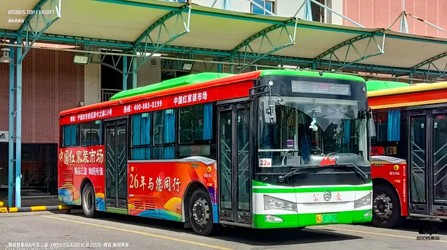 800BUS