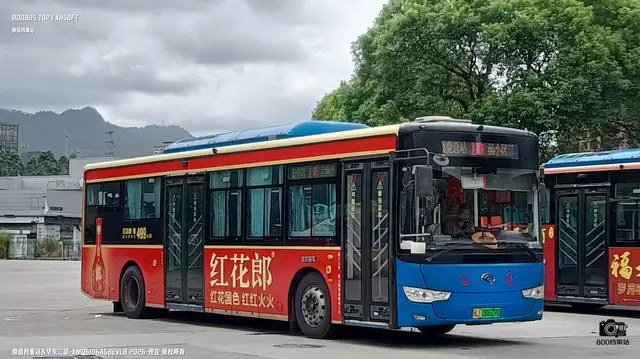 闽J 08609D