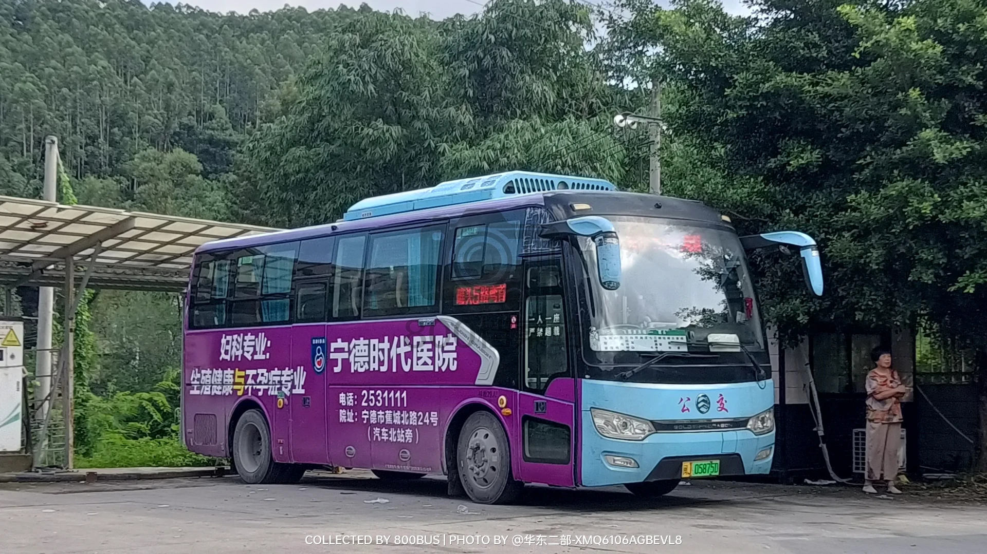 Bus Archive