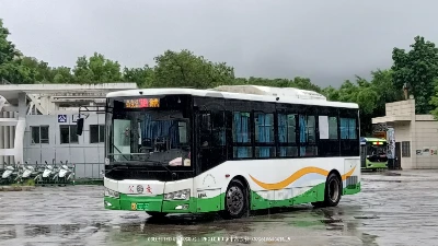 闽J 09806D