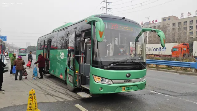 800BUS